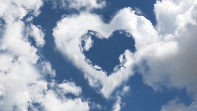 深圳室内蹦极健身馆